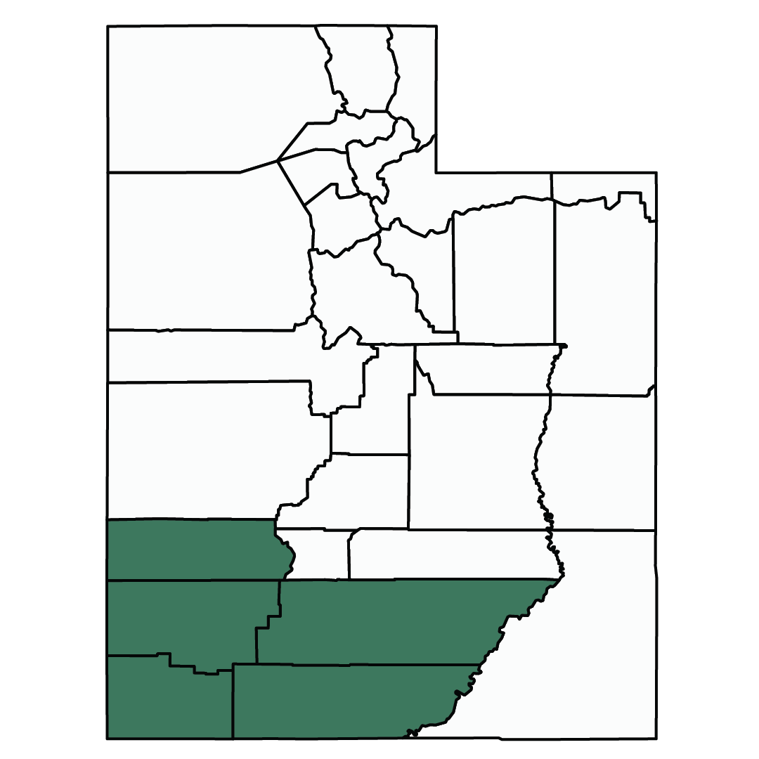 Square image in shape of Utah, with lower left section highlighted dark green