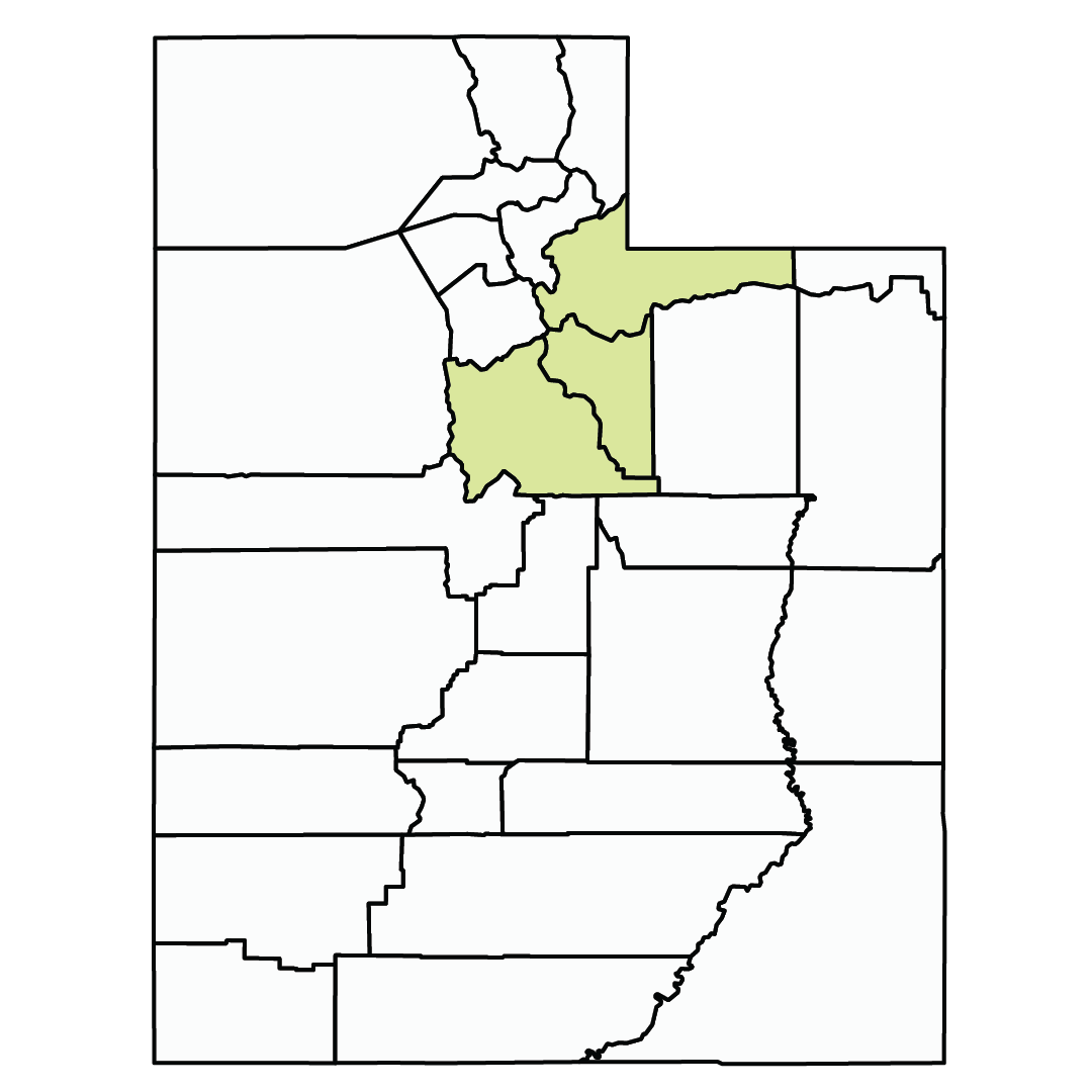Square image in shape of Utah, with center upper section highlighted in light yellow