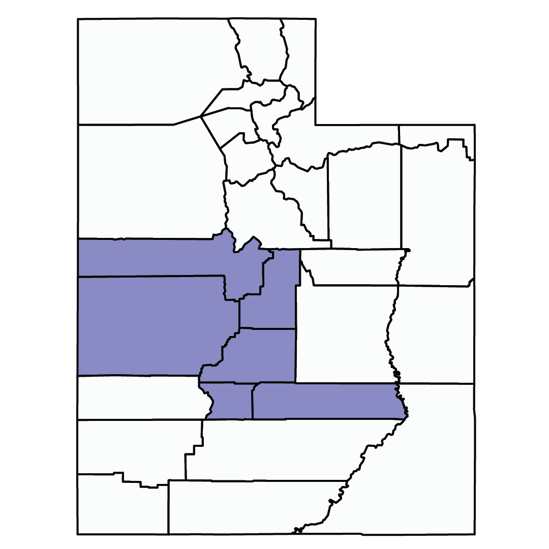 Square image in shape of Utah, with middle left section highlighted dark purple