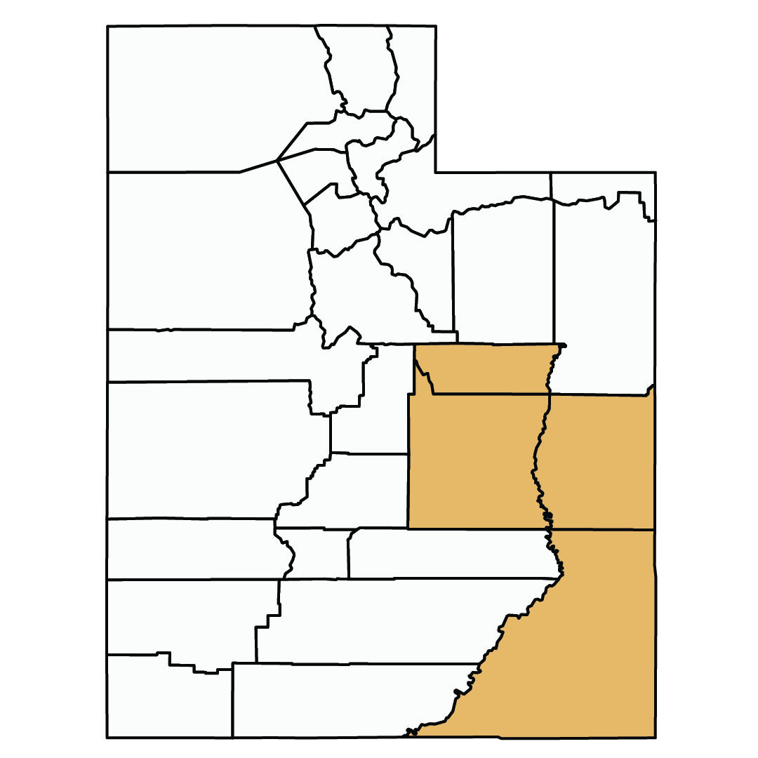 Square image in shape of Utah, with lower right section highlighted orange
