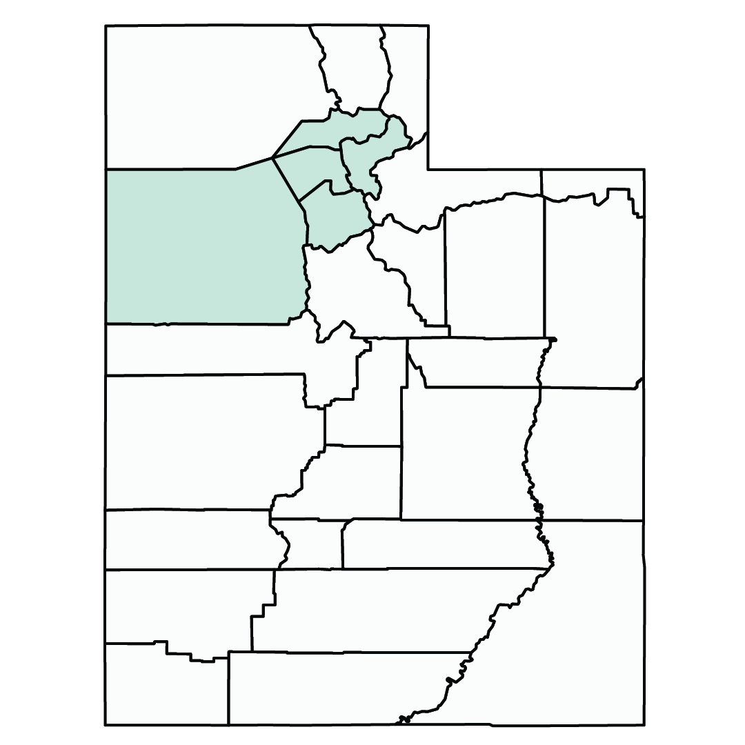 Square image in shape of Utah, with middle upper section highlighted light green